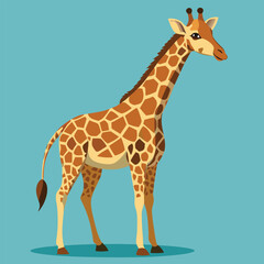 Obraz premium Cartoon Giraffe Standing Tall on a Light Blue Background in Vector Illustration Style
