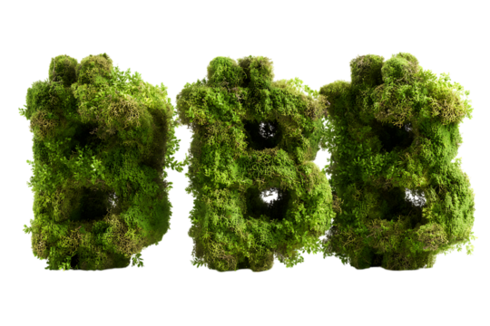 Lush green moss forming letters