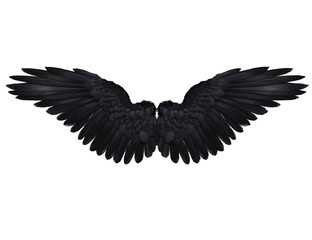  3D-rendered black wings resembling raven feathers, isolated on transparent background
