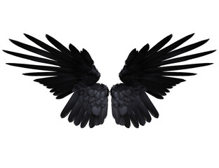  3D-rendered black wings resembling raven feathers, isolated on transparent background
