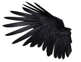  3D-rendered black wings resembling raven feathers, isolated on transparent background
