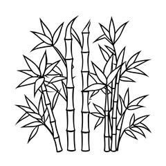 bamboo vector illustration
