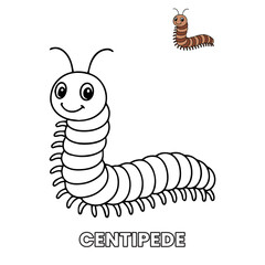 Centipede Insect Animal Children Coloring Pages