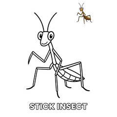 Stick Insect Animal Children Coloring Pages