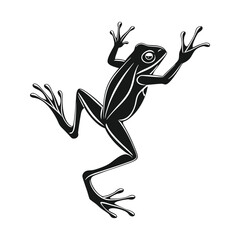 Fototapeta premium Black Frog Silhouette with Outstretched Limbs on White Background