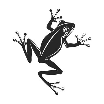 black frog climbing white background clip art preview