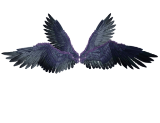 3D rendered illustration of fantasy purple wings isolated on transparent background
