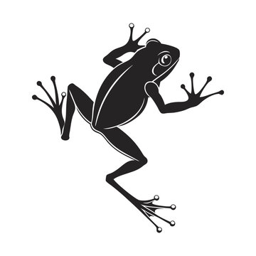 black frog climbing white background clip art preview