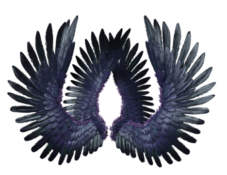 3D rendered illustration of fantasy purple wings isolated on transparent background
