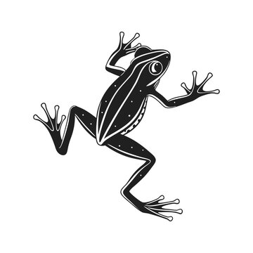 black frog climbing white background clip art preview