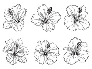 Simple hibiscus floral vector art line drawing