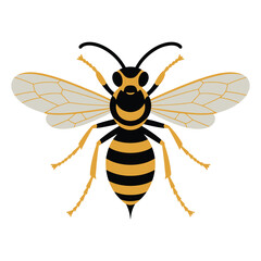 Wasp vector illustration on white background.