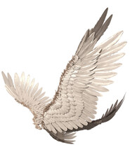 3D rendered illustration of elegant white wings, isolated on transparent background