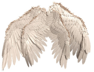 Obraz premium 3D rendered illustration of elegant white wings, isolated on transparent background