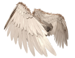 Obraz premium 3D rendered illustration of elegant white wings, isolated on transparent background