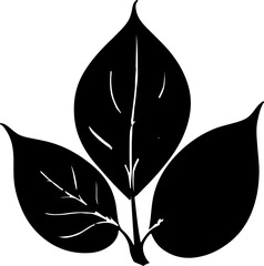 black and white leaves. 