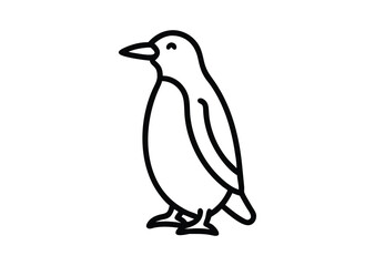 Fototapeta premium Penguin line art Vector Illustration