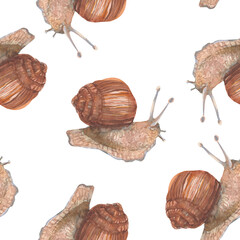 Snail. Seamless watercolor hand drawn pattern with brown snail isolated on white. Wildlife fauna backdrop. For cosmetic products with snail mucus, fabric design, textile print, wrapping paper, cover