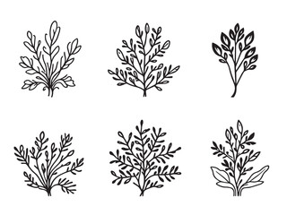 Ice plant sketches in simple minimal vector format