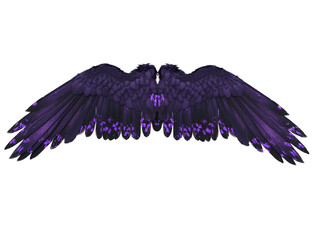 3D rendered illustration of dark iridescent wings with black and violet feathers, isolated on transparent background