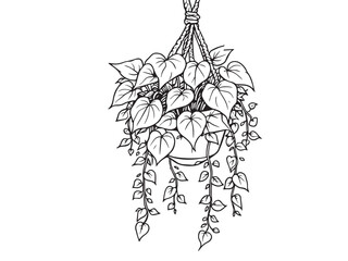 Minimalist indoor foliage design in outline vector