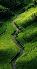 Obraz premium Winding road through lush green hills (12)