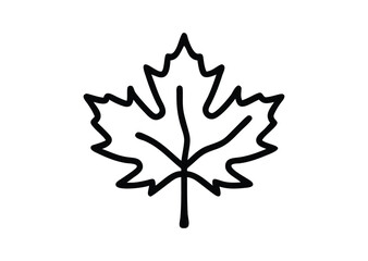 Obraz premium Maple leaf line art Vector Illustration