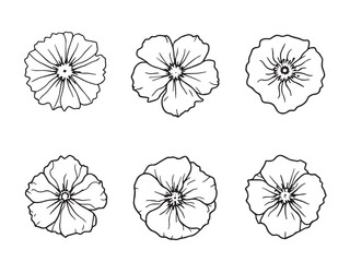 Ipomoea clear vision simple line art