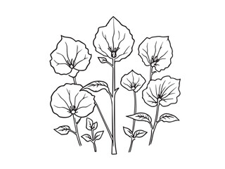 Ipomoea clear vision simple line art