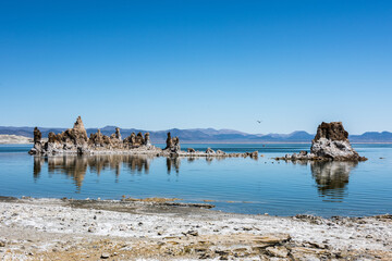 The image shows the tufa towers of Mono Lake, California, standing in the lake's alkaline water under a clear blue sky.