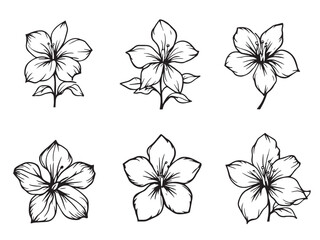 Obraz premium simple line art Ixora design