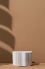White podium with the shadow of a monstera leaf on a wooden beige background. Geometric premium scene for advertising and presentation your product. Showcase, display case