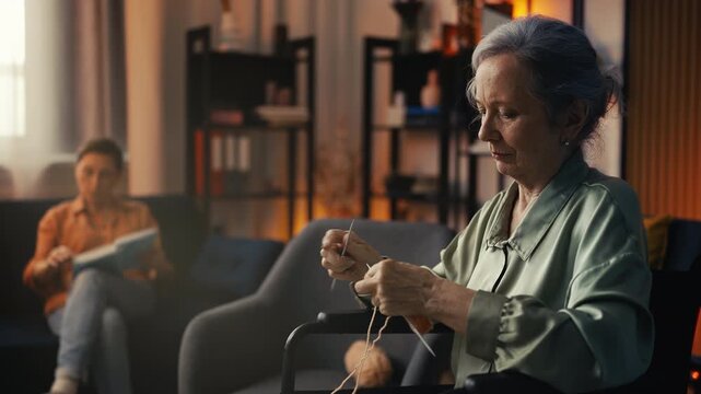Woman in wheelchair knitting while her friend reads, cozy and relaxing moment