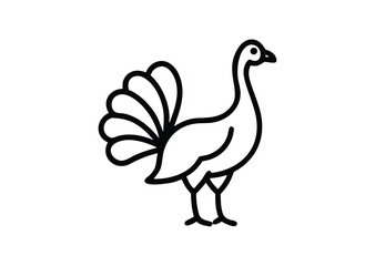 Elegant peacock line art Vector Illustration