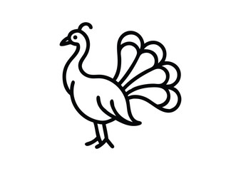 Fototapeta premium Elegant peacock line art Vector Illustration