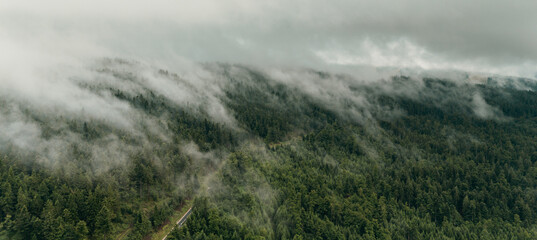 Clouds and mist drift over the Bavarian Forest mountains after a rainy summer day showing lush green nature and scenic wilderness in southern Germany