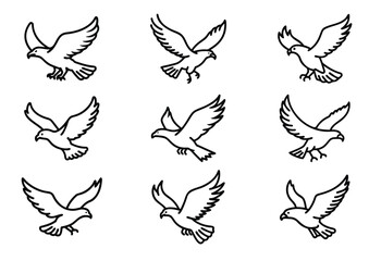 Flying bald eagle line art Vector Set