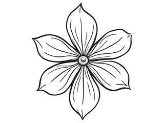 kaffir lily floral sketch