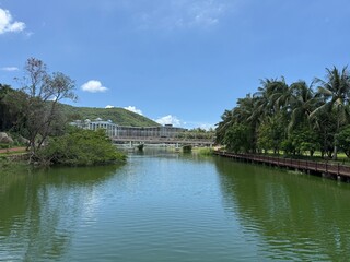lake in the park