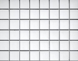 A grid of white squares