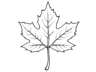 leaf nature inspired line art