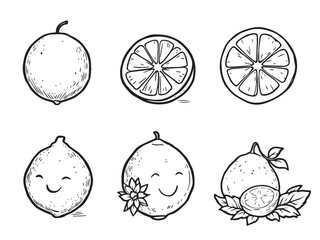 lemon fresh citrus line art
