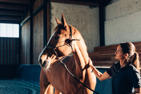 Female vet checking a horse's health in a barn