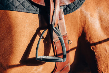 Horse saddle and stirrup hanging on chestnut horse ready for riding