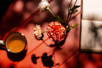 Teacup, Carnations, Book and Sunlight Creating Cozy Atmosphere on Red Table