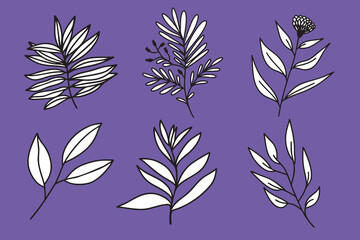 Minimal Botanical Branches Vector Set – 6 Decorative Illustrations