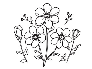 lilac clear vision simple line art