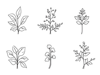 lunaria clear vision simple line art