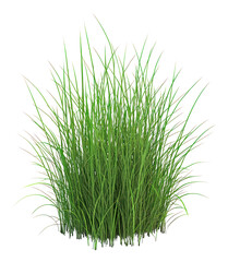 PNG Garden grass illustration background isolated.