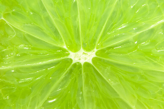 Macro close up surface texture Juicy slice of lime